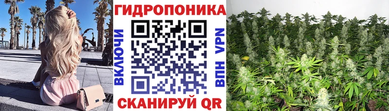 Как найти закладки Нарьян-Мар СОЛЬ  MEGA как войти  Псилоцибиновые грибы  МАРИХУАНА  Гашиш  Cocaine 