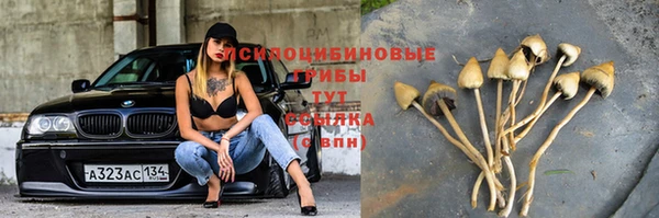 эйфоретик Михайловка