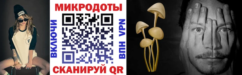 Галлюциногенные грибы Psilocybine cubensis  магазин    Нарьян-Мар 