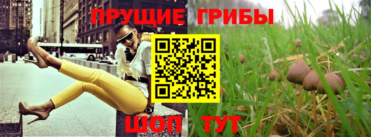 Псилоцибиновые грибы Psilocybe  Псилоцибиновые грибы GOLDEN TEACHER  Нарьян-Мар 