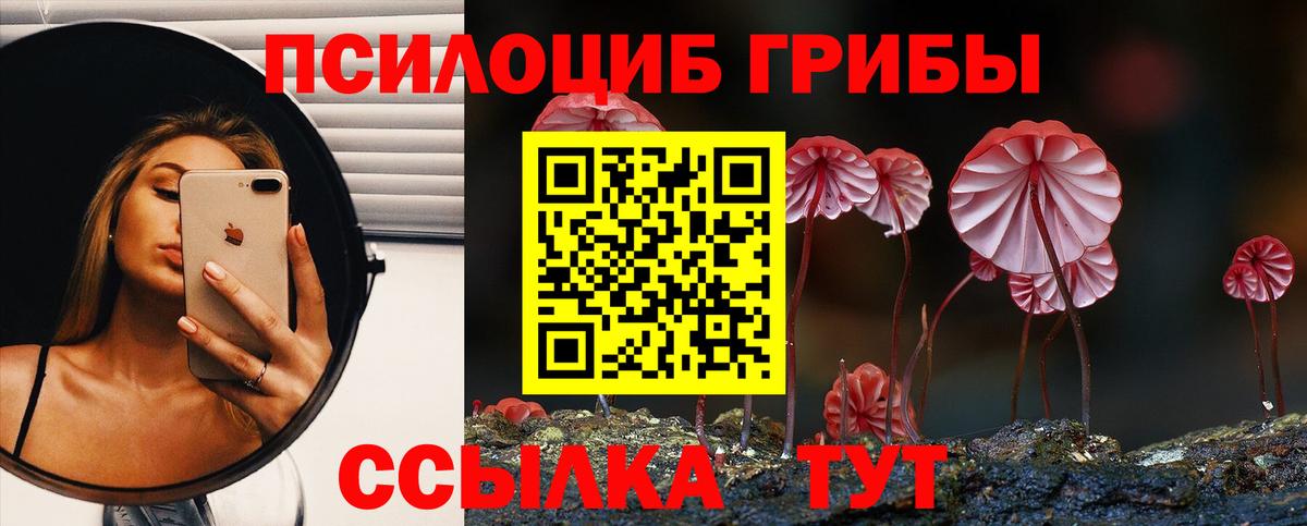 Галлюциногенные грибы мухоморы Нарьян-Мар